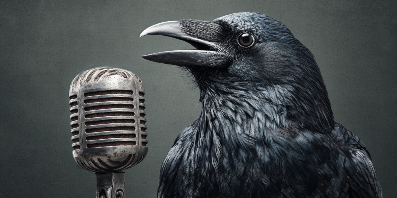 Bonne-Artig_Eine_Krhe_spricht_in_ein_Radio-Mikrofon._--ar_169_aa7691a0-ee1b-464b-b8dc-6c724e3d3795_3